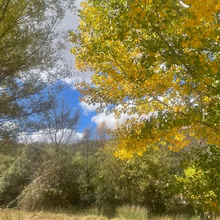 Casa Del Tio Marcelo Pedraza